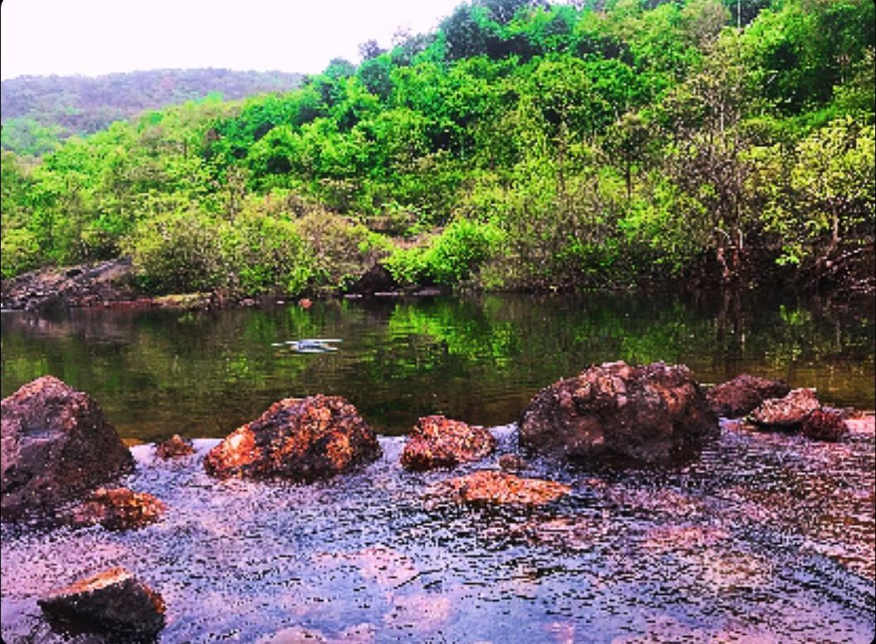 Rohan Homestay By Traviget Hospitality, Dapoli-Konkan Harnai Eksteriør bilde